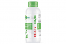 CRAZY HUMIC