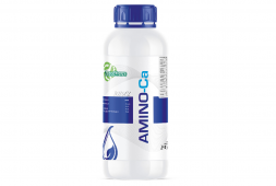 AMINO-Ca