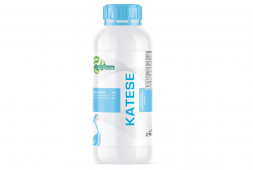 KATESE
