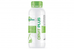 ORVIT PLUS