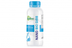 NANO BIO GIBB