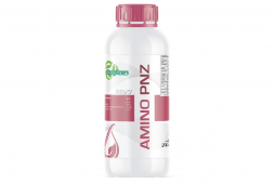 AMINO PNZ