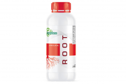 ROOT