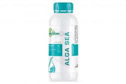ALGA SEA