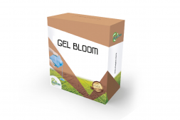 GEL BLOOM
