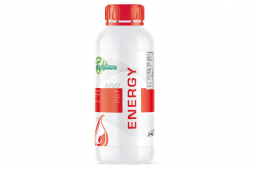 ENERGY