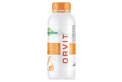 ORVIT