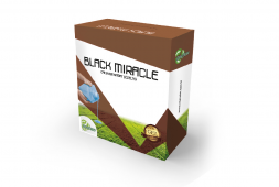 BLACK MIRACLE